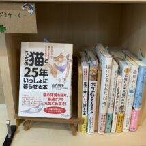 センイチブックス　8月の営業日