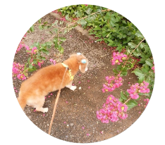 サンポミチ・くー