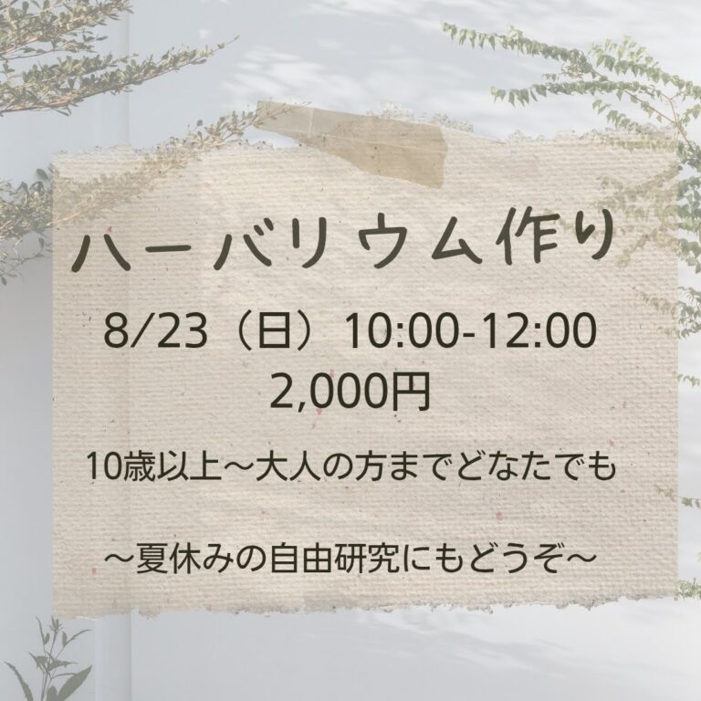 ハーバリウム作り｜ままごころ書店｜2026.08.23