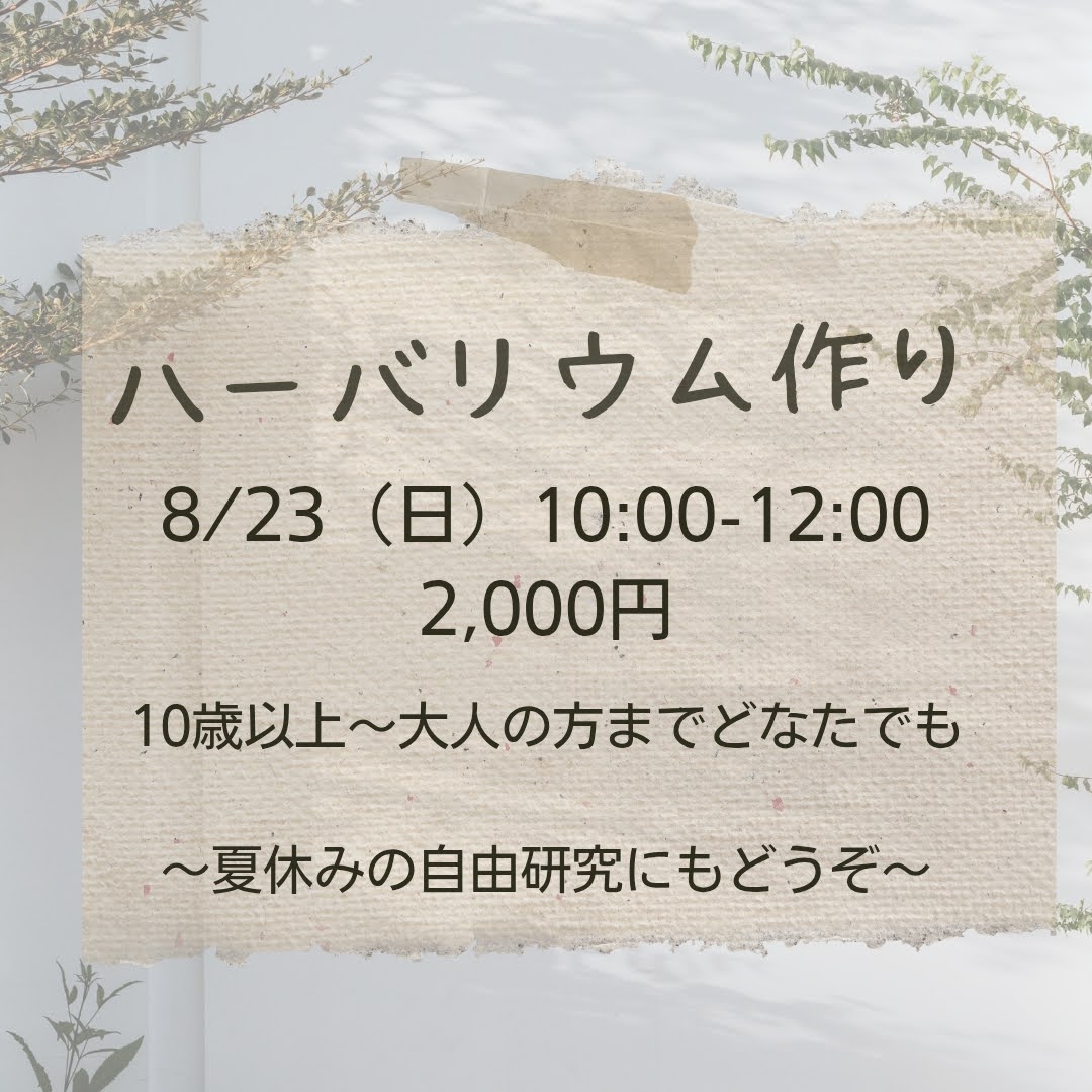 ハーバリウム作り｜ままごころ書店｜2026.08.23
